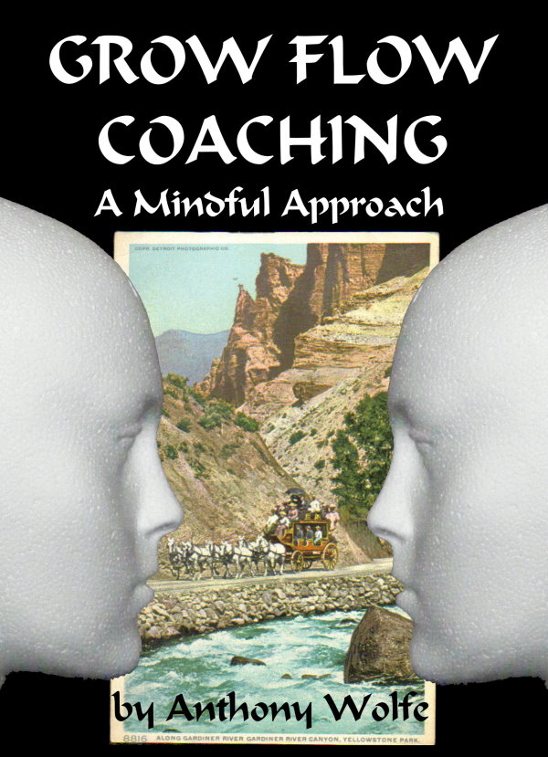 GROW-FLOW Coaching - A Mindful Approach